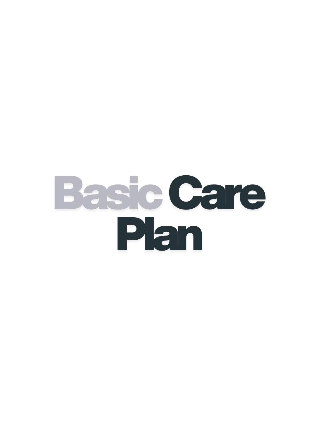 basic care plan basic care plan